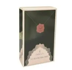 【新品】THE SEEKING SOUL　タロット　占い　スピリチュアル　アート
