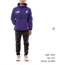 【極美品】NBA/レイカーズ/アノラックパーカー/ジャケット/L