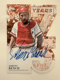 Item thumbnail for item 450a97f8-8085-4032-93a1-f169cf503940