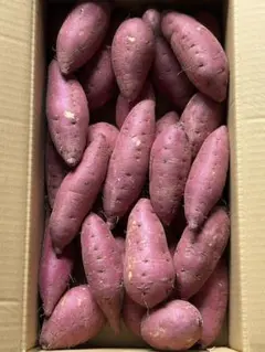 鹿児島県産　新芋　紅はるかA品　箱込5キロ M〜Lサイズ　b