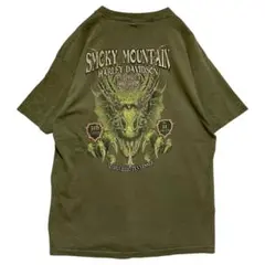 TAKJ ハーレー Tシャツ ハーレーダビットソン バイク ドラゴン 緑