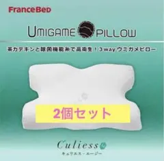 ★FranceBed ウミガメピロー 2個セット★のサムネイル