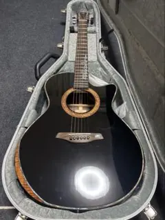 FURCH G23-CG マダガスカルローズ 総単板 Hiscoxハードケース付 - メルカリ