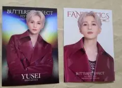 BUTTERFLY EFFECT フォトカード 八木勇征