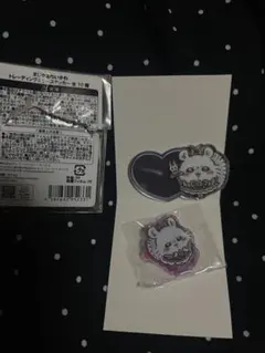 치이카와 진지하다 치이카와 모모가 세트