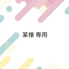 某様専用ページ　4/24