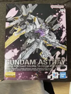 海外限定MG ガンダムアストレイ クロスコントラストカラーズ 朽木黒