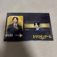 SnowMan目黒蓮 トリリオンゲーム カードセット