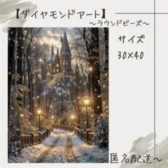 【ダイヤモンドアート】　ビーズアート　ラウンドビーズ　30×40