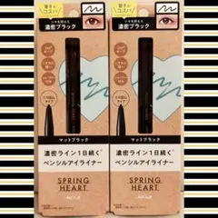 新品未開封　マットブラック　2本セット　ペンシルアイライナー　スプリングハート♡のサムネイル