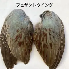 amu@プロフィール必須様 リクエスト 3点 まとめ商品