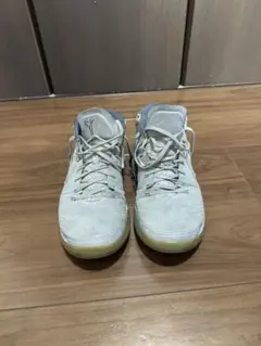 Nike Kobe シューズ グレー