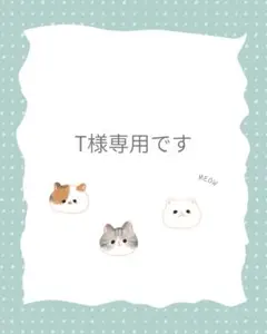 T様専用出品です