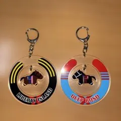 Item thumbnail for item e99041c4-5671-41bc-9b32-8fd381f056d9