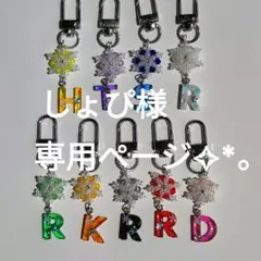 しょぴ様専用ページ✧*。