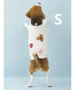 【新品】ジェラートピケ:【CAT＆DOG】ベビモコベアサガラ刺繍入りプルオーバー