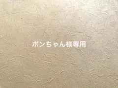 ポンちゃん様専用・*:.ღパラコードスマホショルダーストラップ
