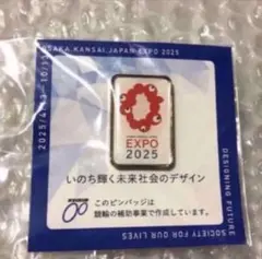 Designing Future Society 大阪万博ピンバッジ 2025大阪・関西万博公式ライセンス商品 提供(株)47CLUB 商品名