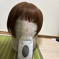 Item thumbnail for item 629004b4-fdd2-46e7-8fe8-02c69b5990c4