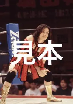 女子プロレス　白鳥智香子写真