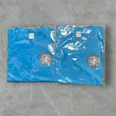 新品 【奈良限定】飛鳥RUN×2 リレーマラソン2025 Tシャツ 春麗