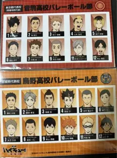 【ハイキュー】ゴミ捨て場の決戦 選手名鑑風ブロマイド 烏野 音駒 2枚セット