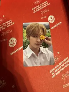 Stray Kids スキズ NOEASY リノ トレカ 限定