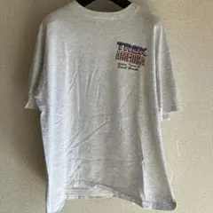 USA製 オニータ ONEITA Lサイズ アッシュグレー 古着tシャツ
