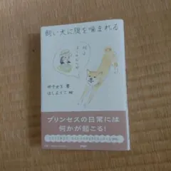 Item thumbnail for item 739b1d37-9b51-4660-a371-ba645fc316db