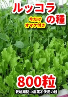 Brick lane様 リクエスト 2点 まとめ商品