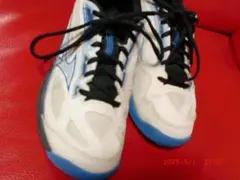 KIDSテニスシューズ MIZUNOネット洗濯天日干