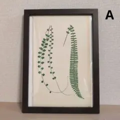 Item thumbnail for item c66d0422-482b-4515-97f4-629cc0ae845d