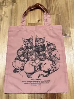 ボリス雑貨店 ヒグチユウコ 秘密会議 ピンク