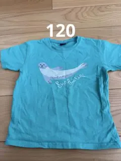 クレッセント　アザラシ　Tシャツ　美品　ほぼ新品のサムネイル