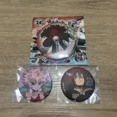 2026年最新】芦戸三奈缶バッジの人気アイテム - メルカリ