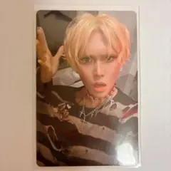 xlov タレントカード