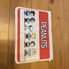 PEANUTS キャラクターポーチ 大きめ