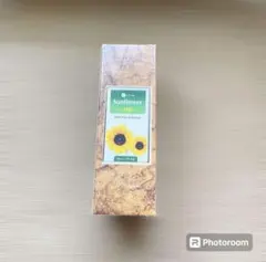 Item thumbnail for item a84496f1-18b7-43b3-bab0-2a97356aedc3