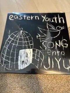 eastern youth　初期 レコード eastern youth LP レコード 孤立無援の花 【公式通販】