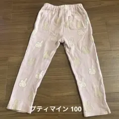 プティマイン ミッフィー 100のサムネイル