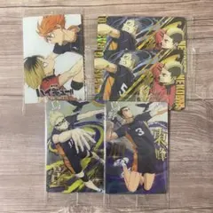ハイキュー!! ウエハース ゴミ捨て場の決戦 カード