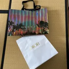 ショッパー Dior GUCCI まとめ売り 2点 大きいサイズ 紙袋