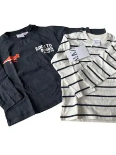ZARA 恐竜プリント 長袖カットソー 2歳
