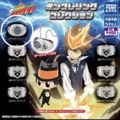 家庭教師ヒットマンREBORN! ボンゴレリング コレクション 大空のリング