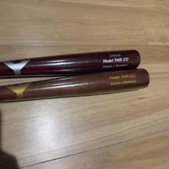 Item thumbnail for item aca96382-a2da-40b7-a324-d5c20552858a