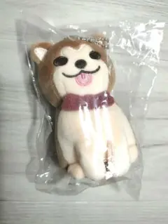 Item thumbnail for item 92371171-5e79-4e6a-8b5f-6985cf707857