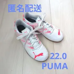 PUMA アタッカント IT JR フットサルシューズ 22.0