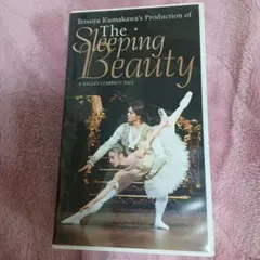 Item thumbnail for item 8ffcdde8-d4c9-4056-b265-5adc89f79719