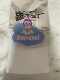 スキズ ネームバッジ SKZOO トゥエッキ　チャンビン　stray kids