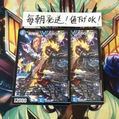 2026年最新】飛翔龍 5000vtの人気アイテム - メルカリ
